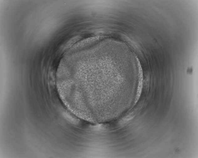 X0000093120430200710241307