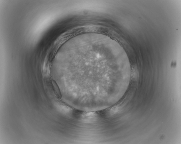 X0000093120431200710241307