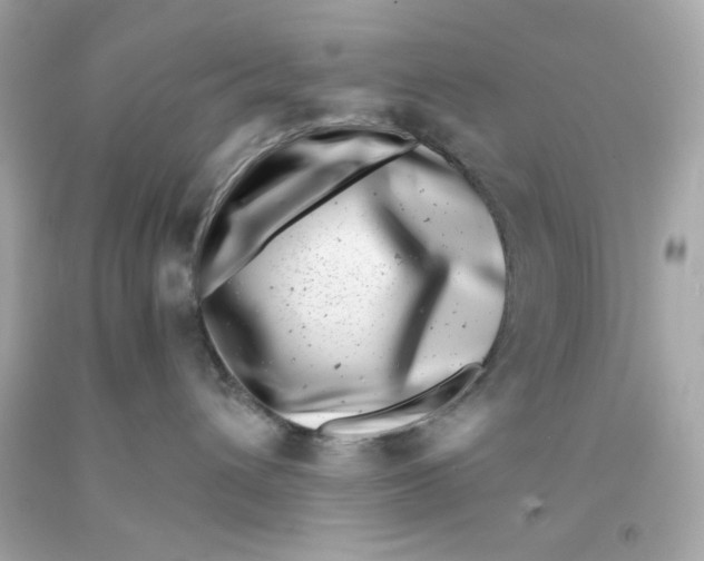 X0000093120432200710241307