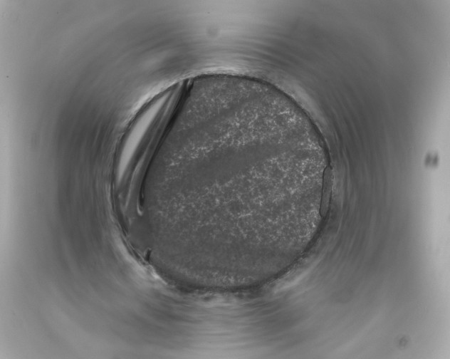 X0000093120434200710241306