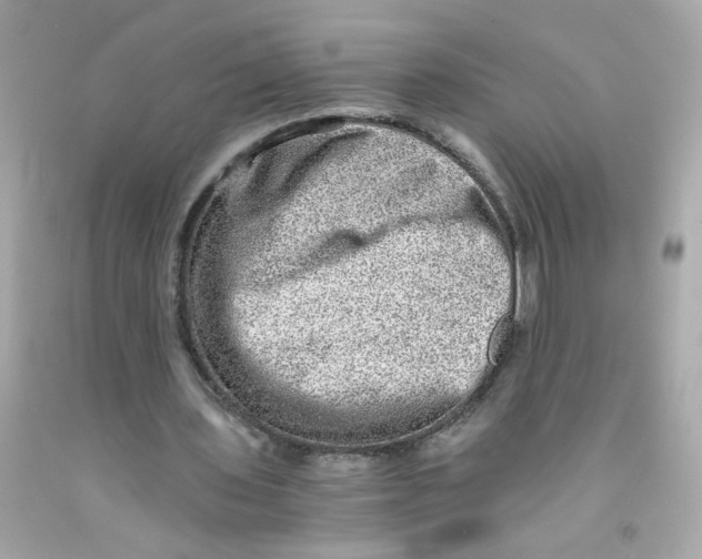 X0000093120435200710241306