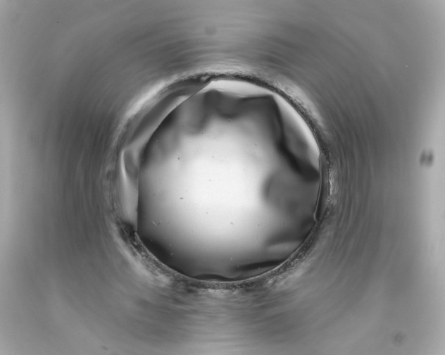 X0000093120436200710241306