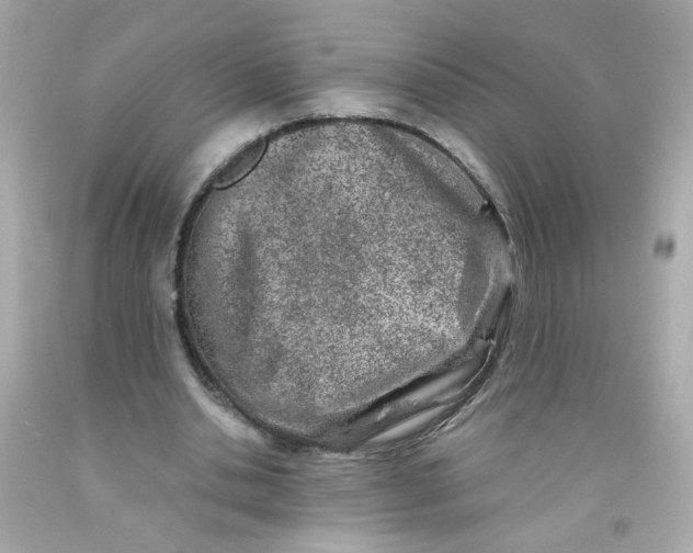 X0000093120438200710241306