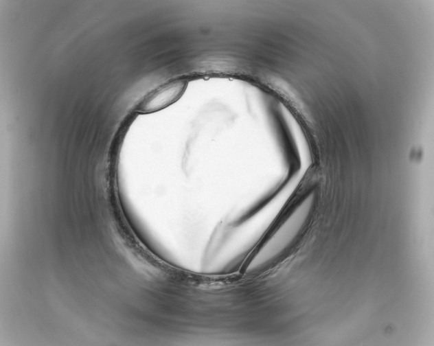 X0000093120439200710241306