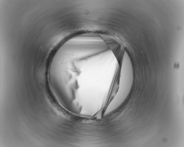 X0000093120440200710241306