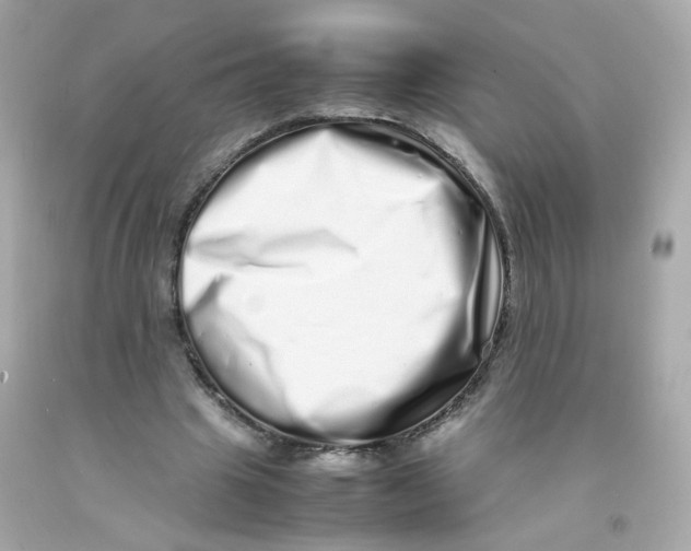X0000093120441200710241306