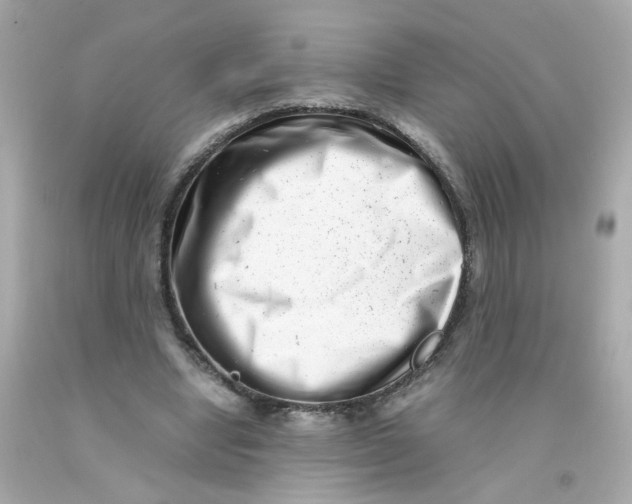 X0000093120442200710241306