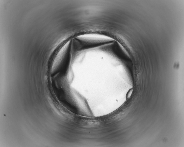 X0000093120443200710241306