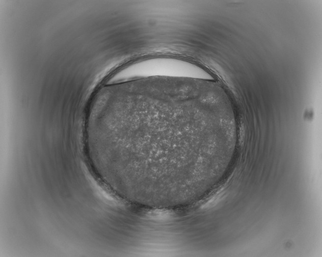 X0000093120444200710241306