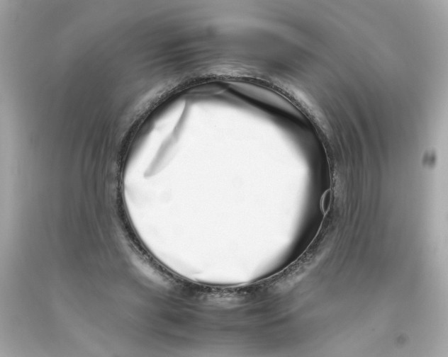 X0000093120445200710241306