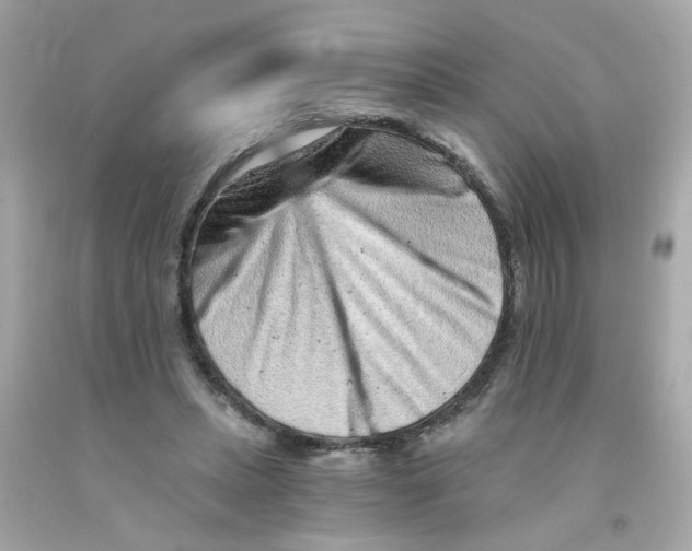 X0000093120447200710241306