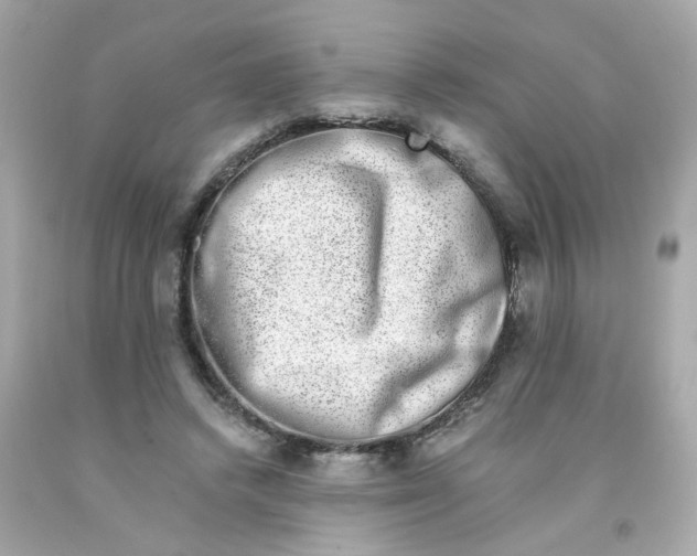 X0000093120448200710241306