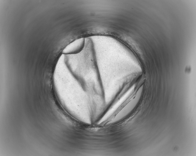 X0000093120449200710241306
