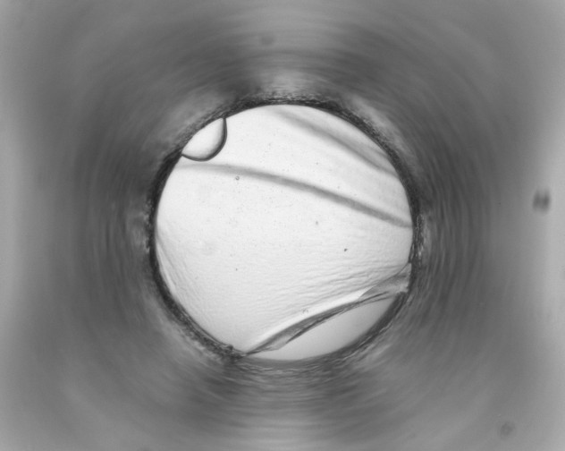 X0000093120450200710241306