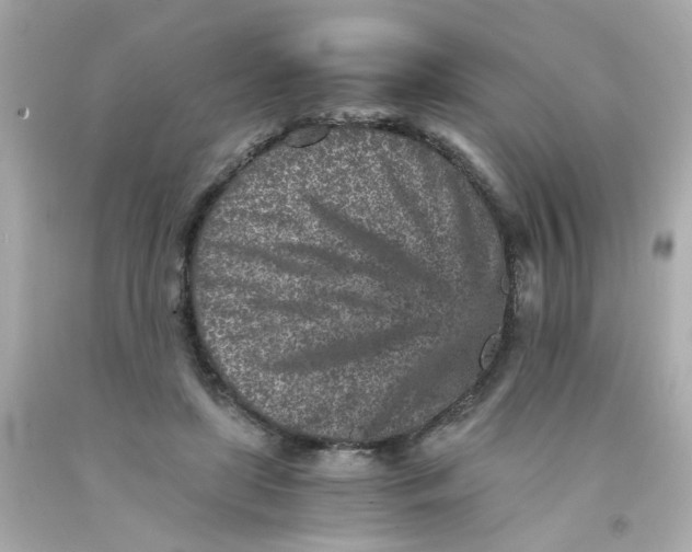 X0000093120451200710241306