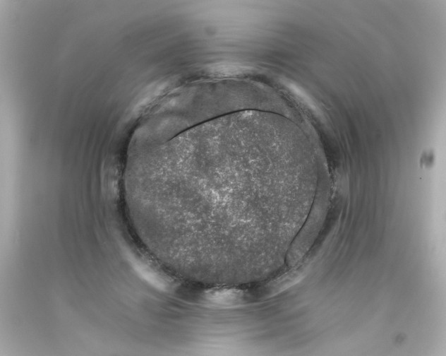 X0000093120452200710241306