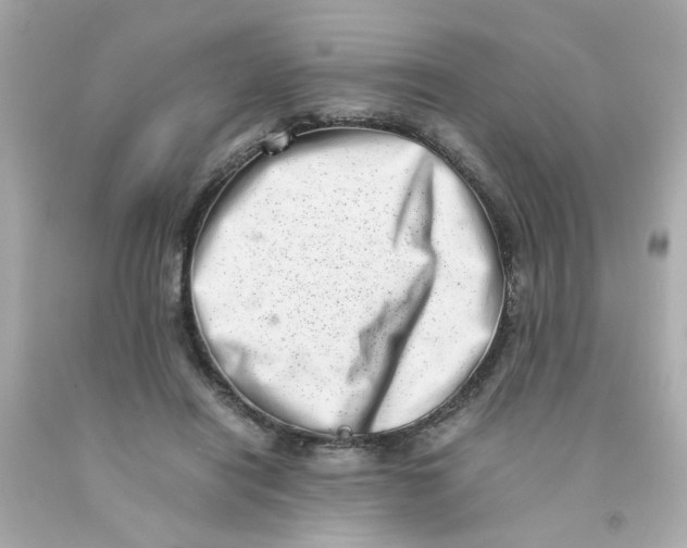 X0000093120454200710241306