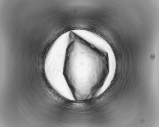 X0000093120457200710241306