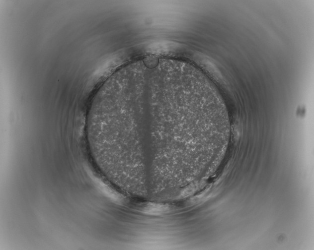 X0000093120458200710241306