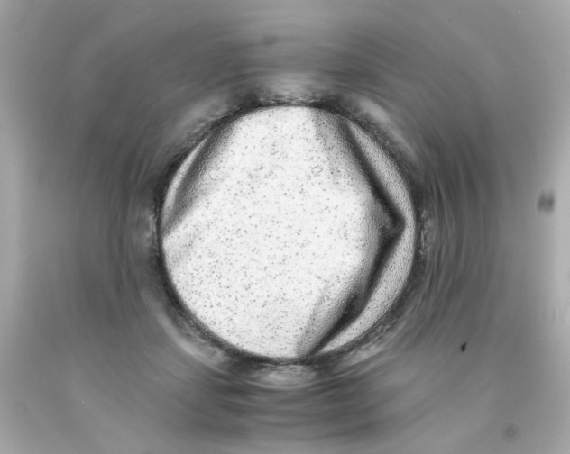X0000093120459200710241306