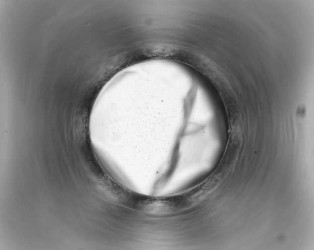 X0000093120460200710241306