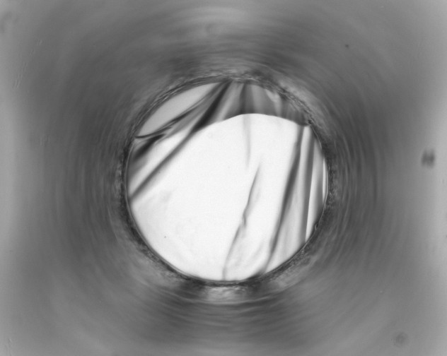 X0000093120461200710241306
