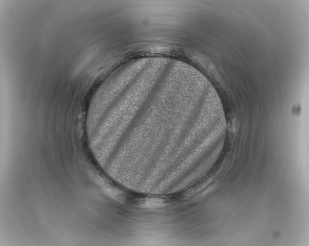 X0000093120462200710241306