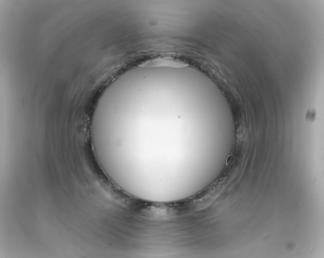 X0000093120464200710241306