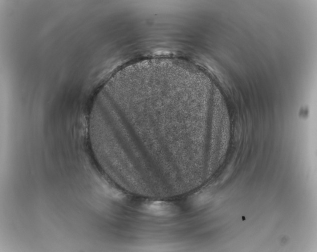 X0000093120467200710241306