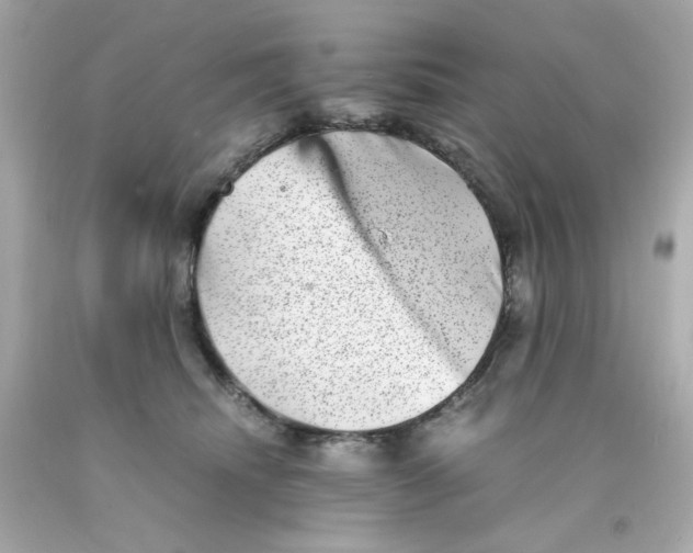 X0000093120468200710241306