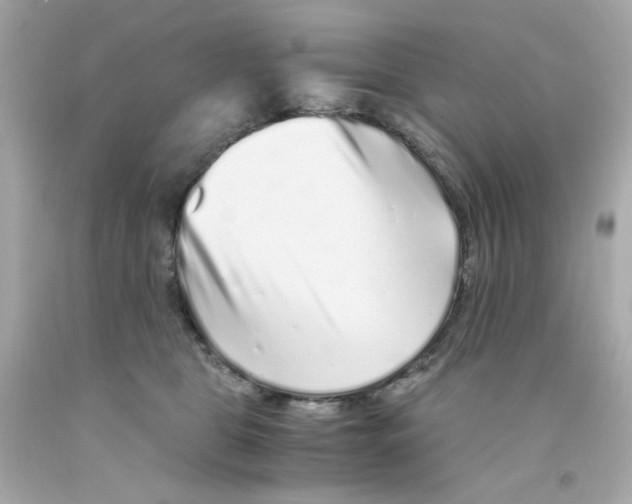 X0000093120469200710241306