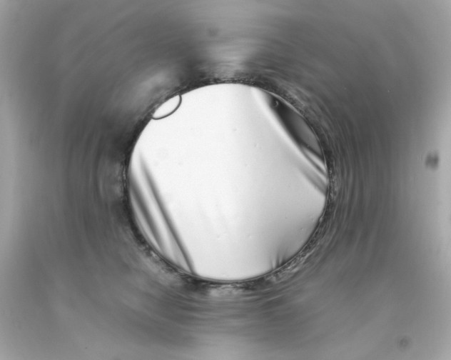 X0000093120470200710241306