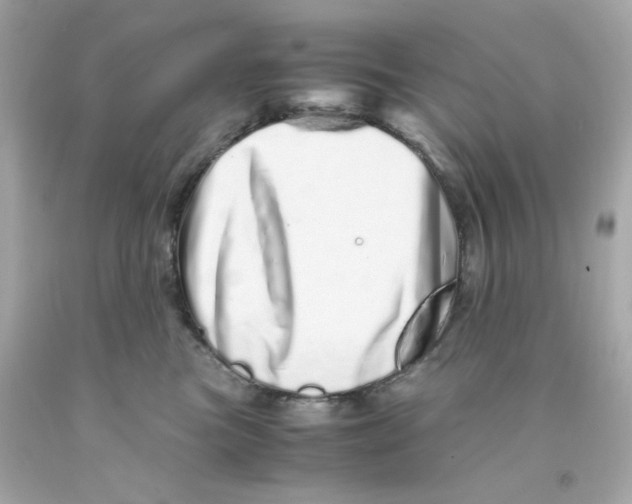 X0000093120473200710241306