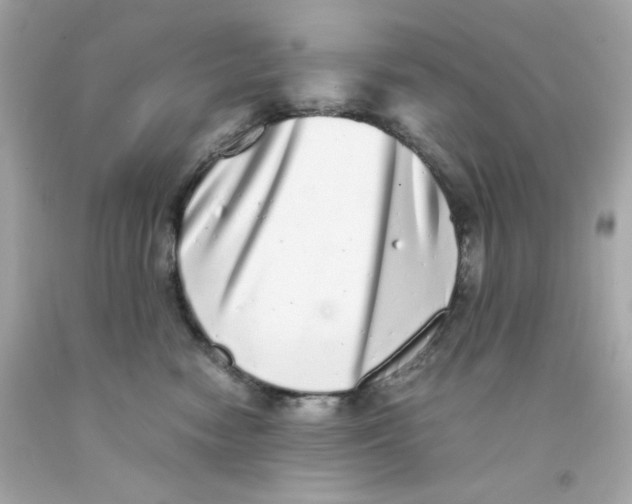 X0000093120474200710241306
