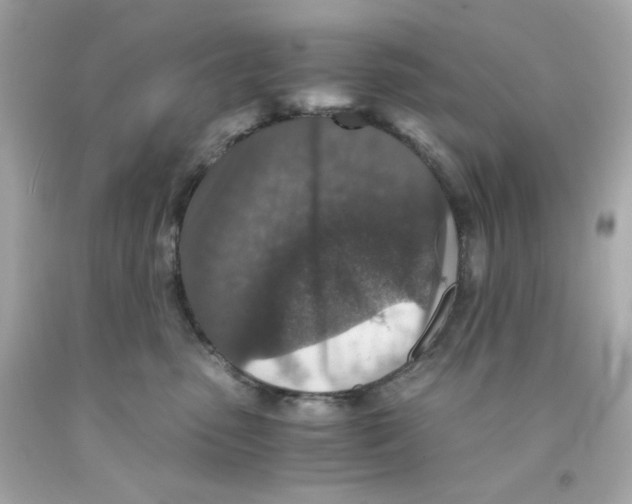 X0000093120475200710241306