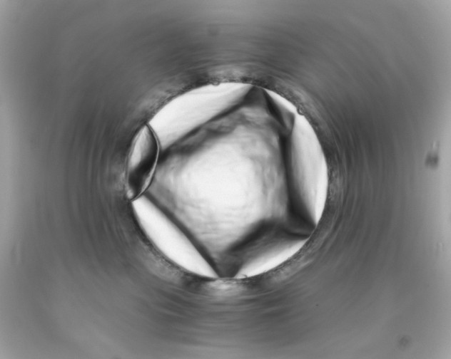 X0000093120477200710241306