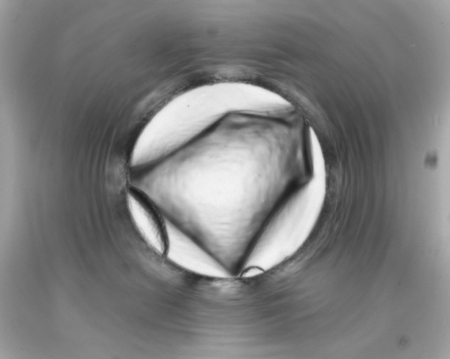 X0000093120478200710241306