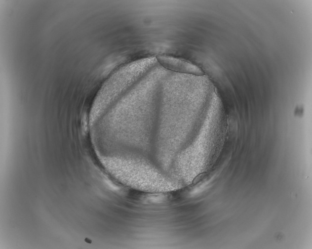 X0000093120479200710241306