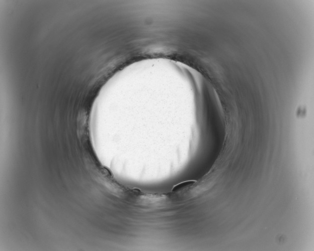 X0000093120480200710241307