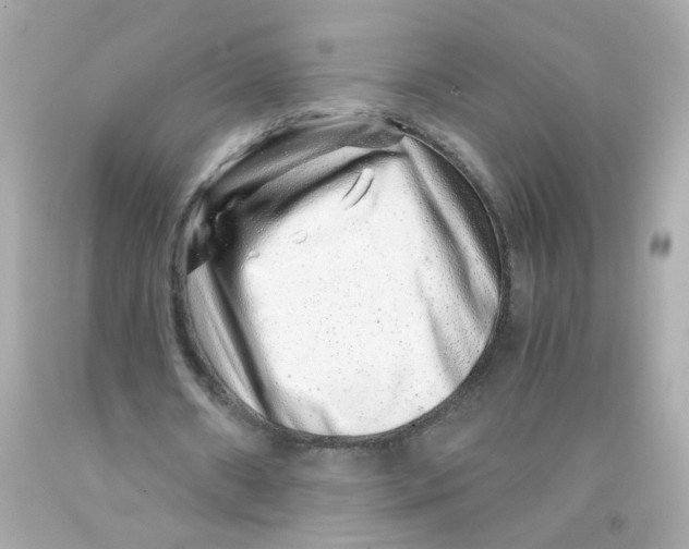 X0000093120482200710241306
