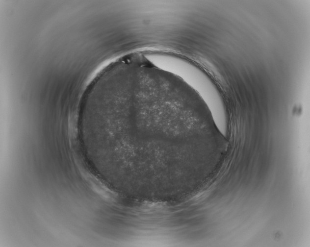 X0000093120484200710241306