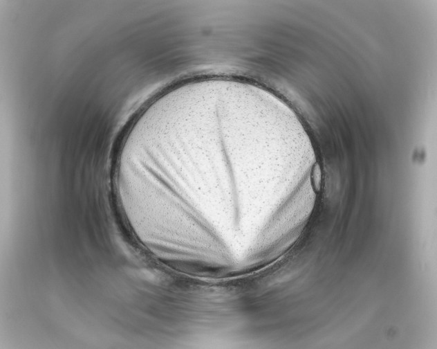 X0000093120486200710241306