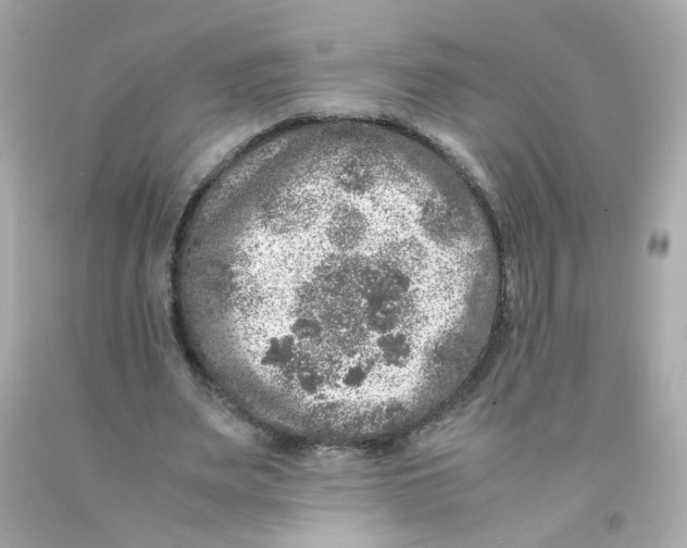 X0000093120487200710241306