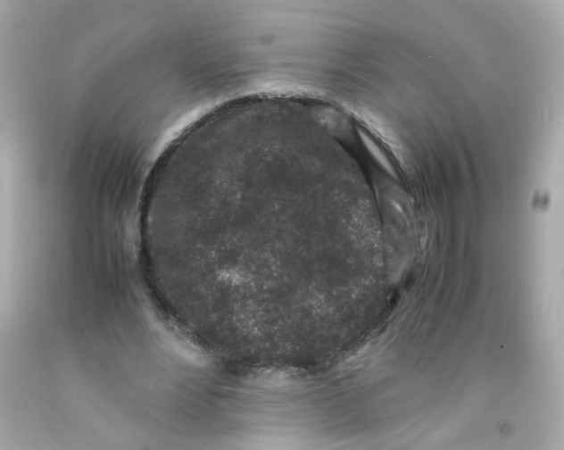 X0000093120488200710241306