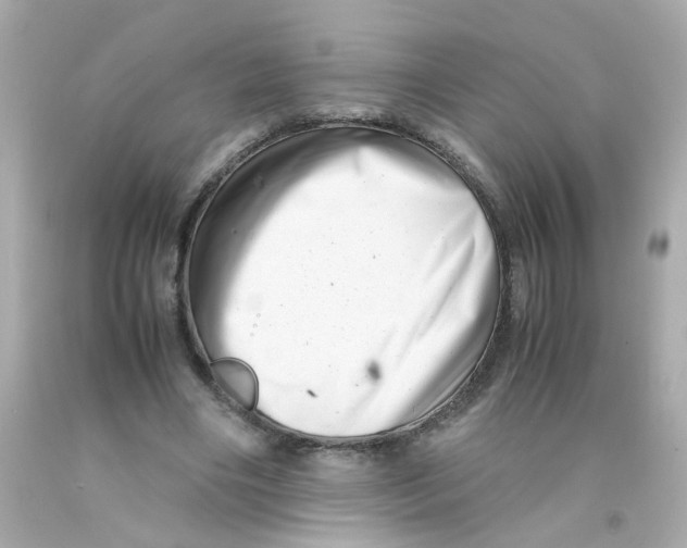 X0000093120490200710241306