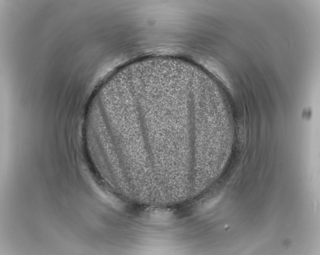 X0000093120491200710241306