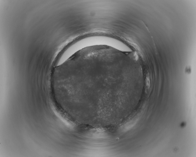 X0000093120492200710241306
