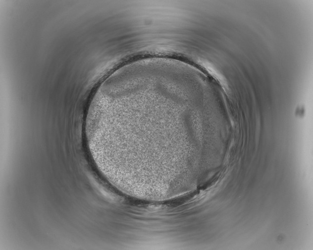 X0000093120493200710241306
