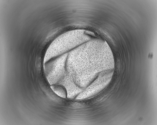 X0000093120494200710241306