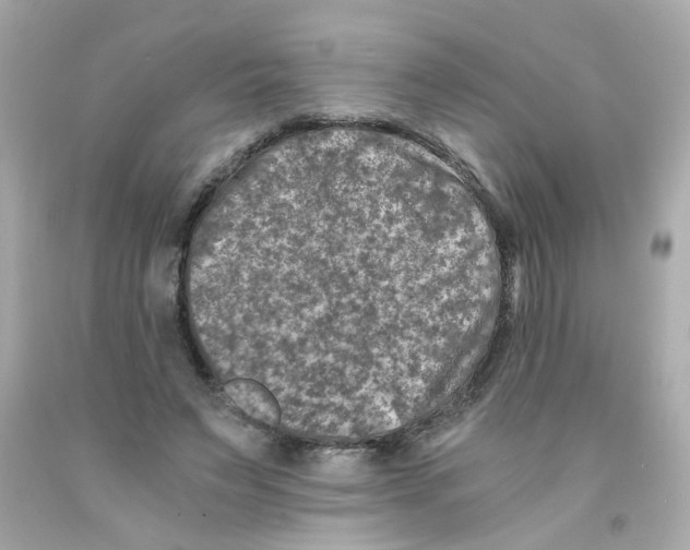 X0000093120495200710241306